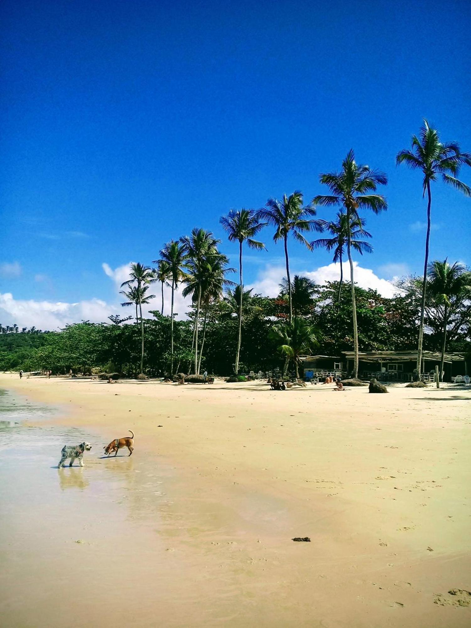 Pousada Formosa ปอร์โตเซกูโร ภายนอก รูปภาพ