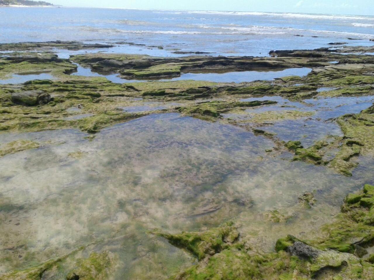 Pousada Formosa ปอร์โตเซกูโร ภายนอก รูปภาพ